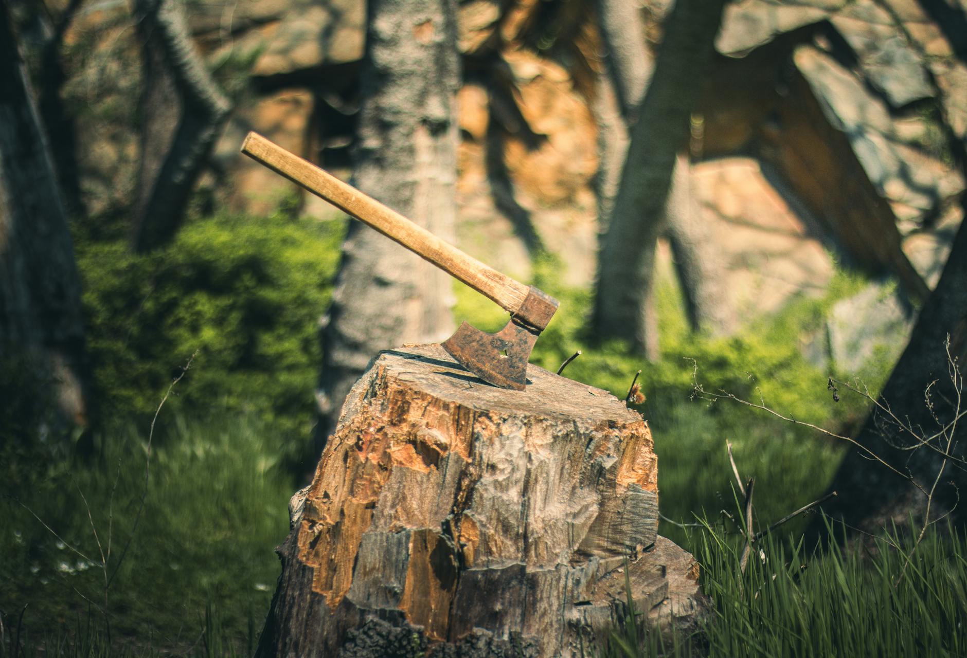 image illustrant la fiabilité du tracker